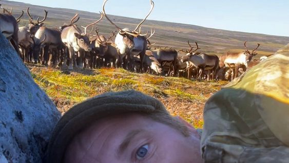 un fotografo se esconde detras de una roca cuando 400 renos salvajes corren hacia el