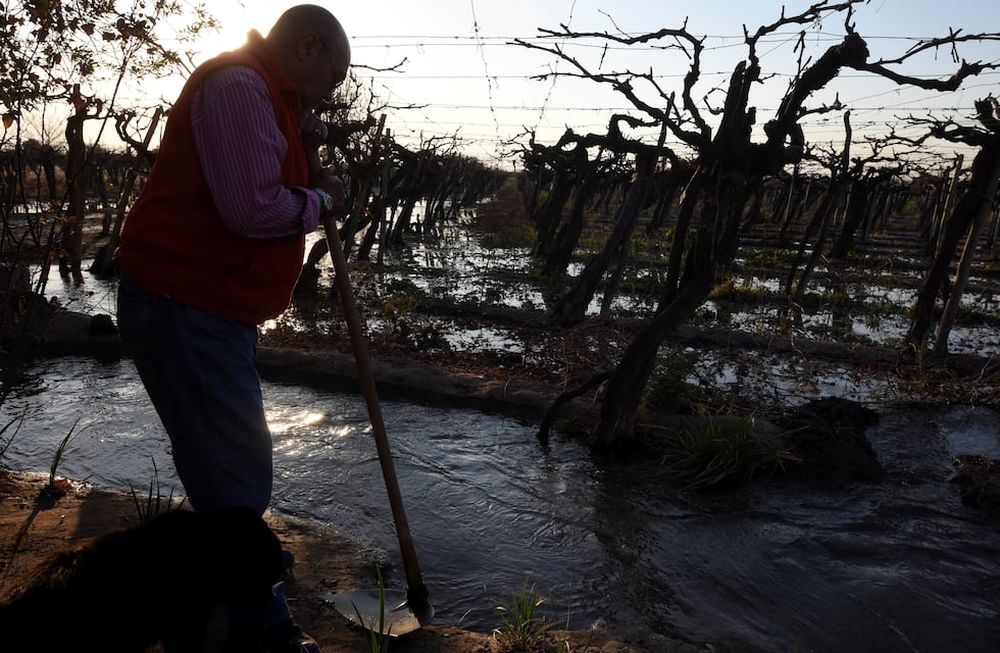 Aun sin consumo, aumenta la luz en pozos agrícolas