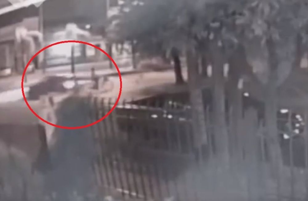 Iba en bicicleta, la atropelló un hombre que corría una picada y está en terapia intensiva