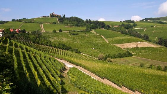 Los vinos de las tres regiones vinícolas más importantes de Italia