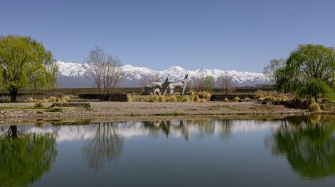 Los Andes | Finca La Isabel Estate 2
