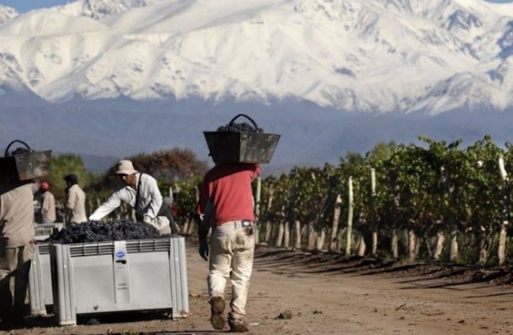 El impacto en la economía y quiénes ganaron con el Covid