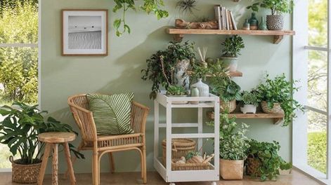 Los Andes | Plantas: cómo incorporarlas a la decoración de tu hogar para refrescar los ambientes este verano.