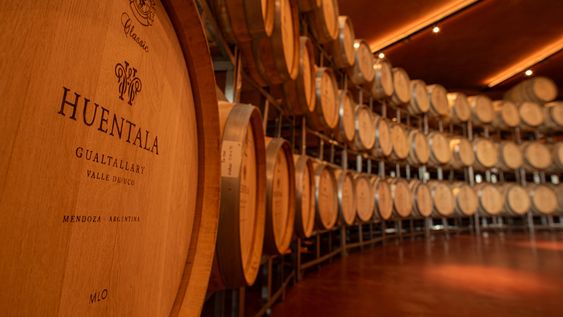 huentala wines arrasa en descorchados 2026 con puntajes extraordinarios huentala wines arrasa en descorchados 2026 con puntajes extraordinarios