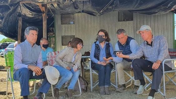 La ex ministra Bullrich y los hermanos Etchevehere escuchando el fallo de la jueza.