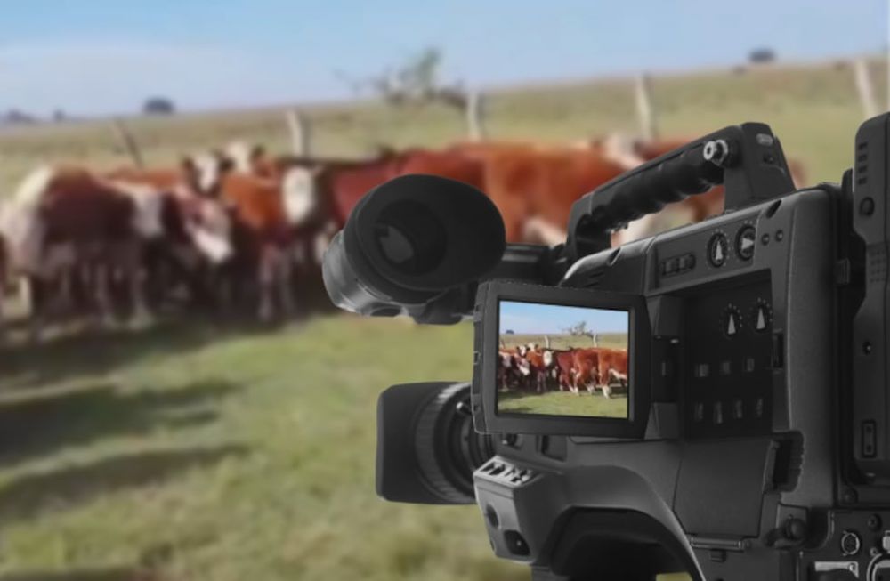 Corrientes será la sede para el evento ganadero del año. (Gentileza Expoagro)