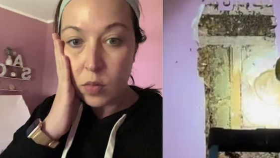Ashley, una mujer oriunda de Carolina del Norte, decidió inspeccionar su casa tras el aviso de su hija y se llevó una desagradable sorpresa. Foto: Captura video