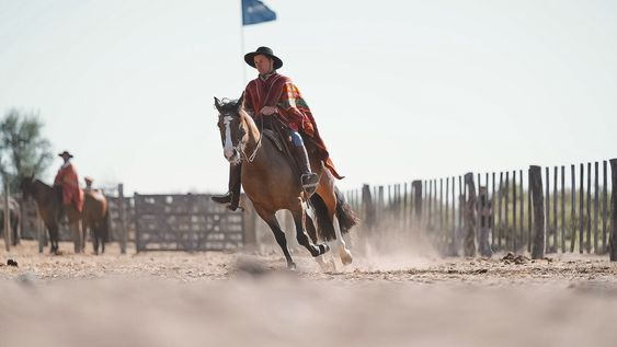 Se desarrolló el tradicional Día de Campo en La Estancia La Sofía Se desarrolló el tradicional Día de Campo en La Estancia La Sofía