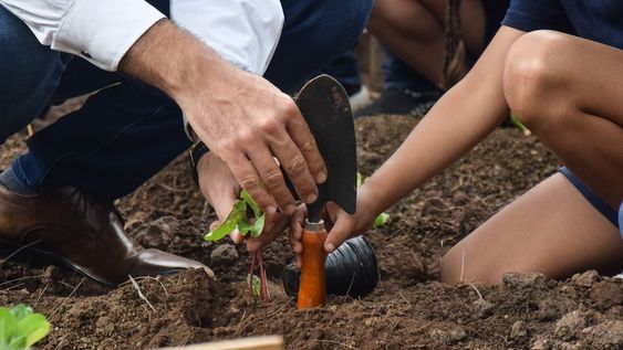 Godoy Cruz: un baldío fue convertido en huerta comunitaria