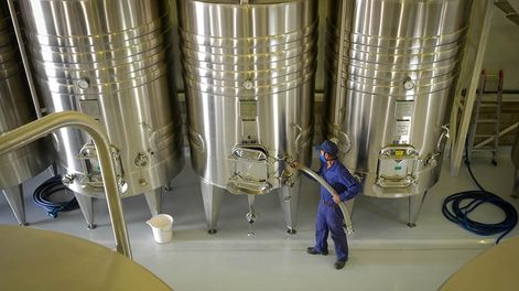 La producción de vino tuvo una significativa baja en el mes de marzo en Mendoza. - Foto: Orlando Pelichotti / Los Andes