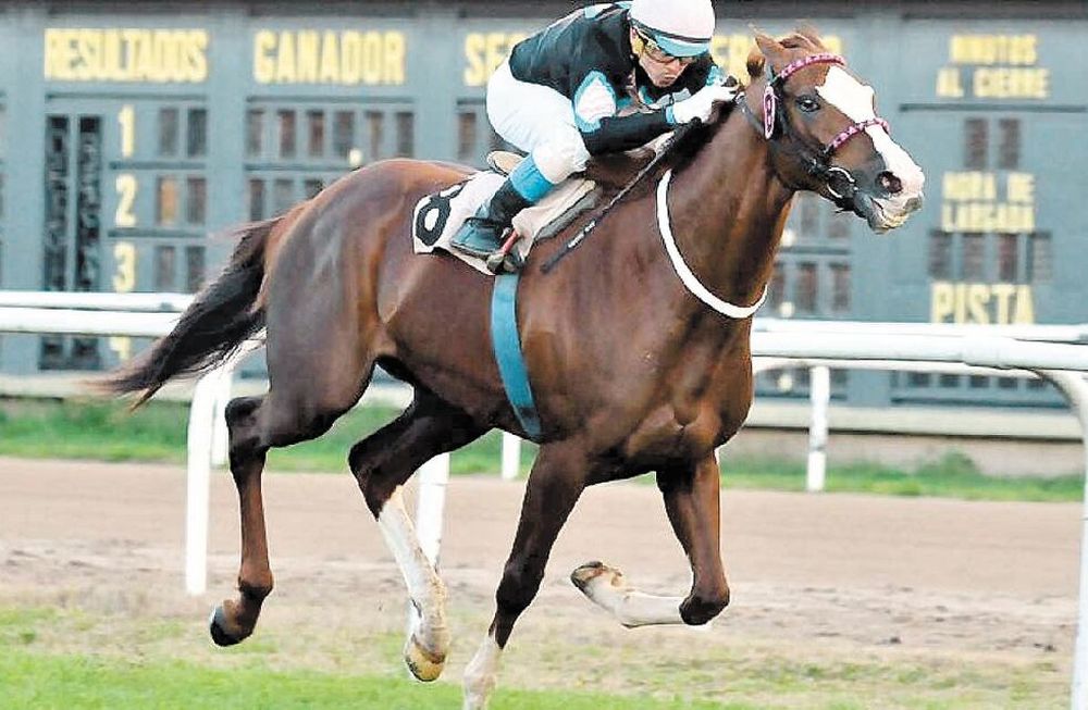 Rosado Van, por la gloria del Clásico Vendimia