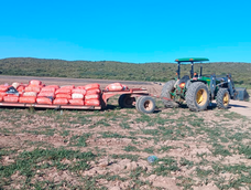San Rafael: un trágico accidente en una finca dejó un trabajador fallecido.