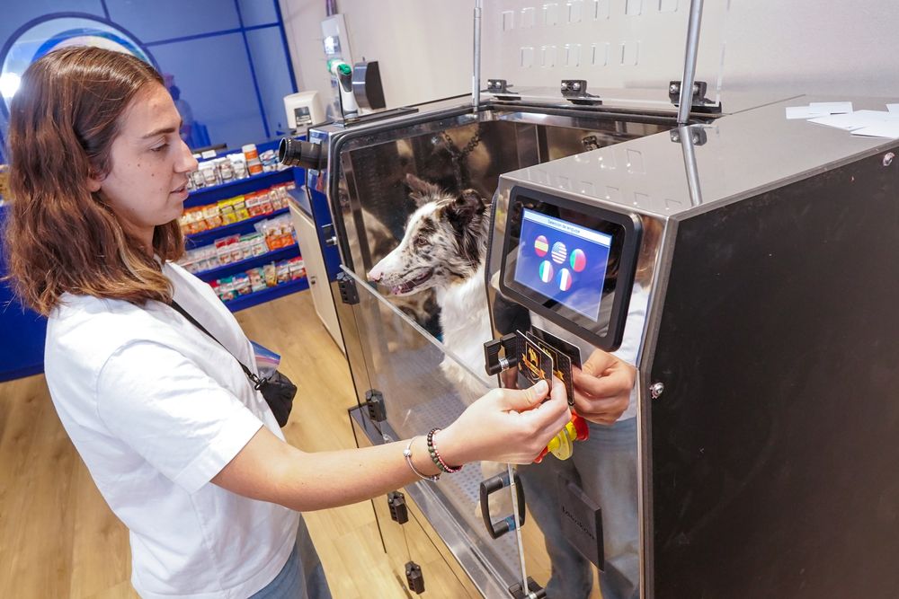 Mascotas: hay un aumento de consultas por problemas en la piel de perros citadinos. La ozonoterapia está revolucionando el tratamiento de hongos, bacterias y virus en medicina veterinaria. Foto: Lavakan 