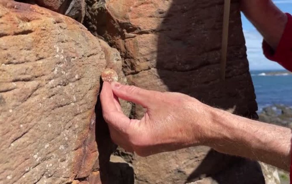 El National Trust estudia reutilizarlas en una obra destinada a mostrar a los visitantes las consecuencias que puede generar esta práctica.
