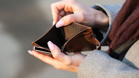 ¿Cómo organizan su economía los hogares argentinos?