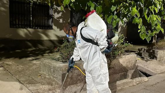 Maipú lucha contra el dengue