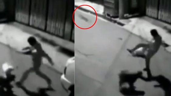 “Con lo fácil que es amenazar con la piedra invisible”, humorizó un usuario. Foto: Captura video