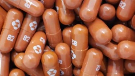 El antiviral molnupiravir ha presentado excelentes resultados en la fase 2 de su estudio.