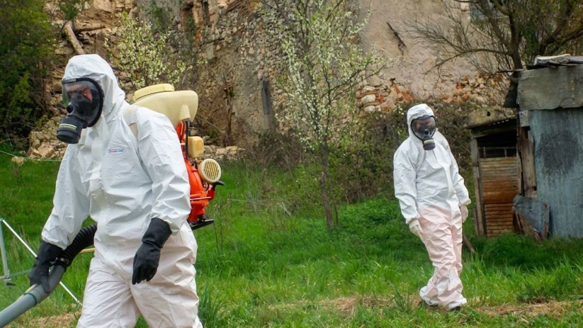 Operativo: el Gobierno envió expertos a Ushuaia para investigar una posible circulación de hantavirus
