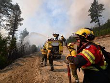 La Fiscalía provincial confirmó que el incendio forestal que se registró en la zona de Puerto Patriada, fue intencional, según informó el gobernador Ignacio Torres, quien le apuntó a los responsables y dijo que “van a terminar presos”.