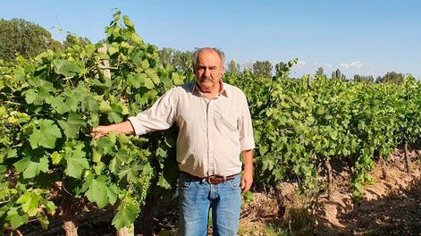 Los Andes | Mario Leiva: “trabajar en el campo hoy es casi una misión imposible”.