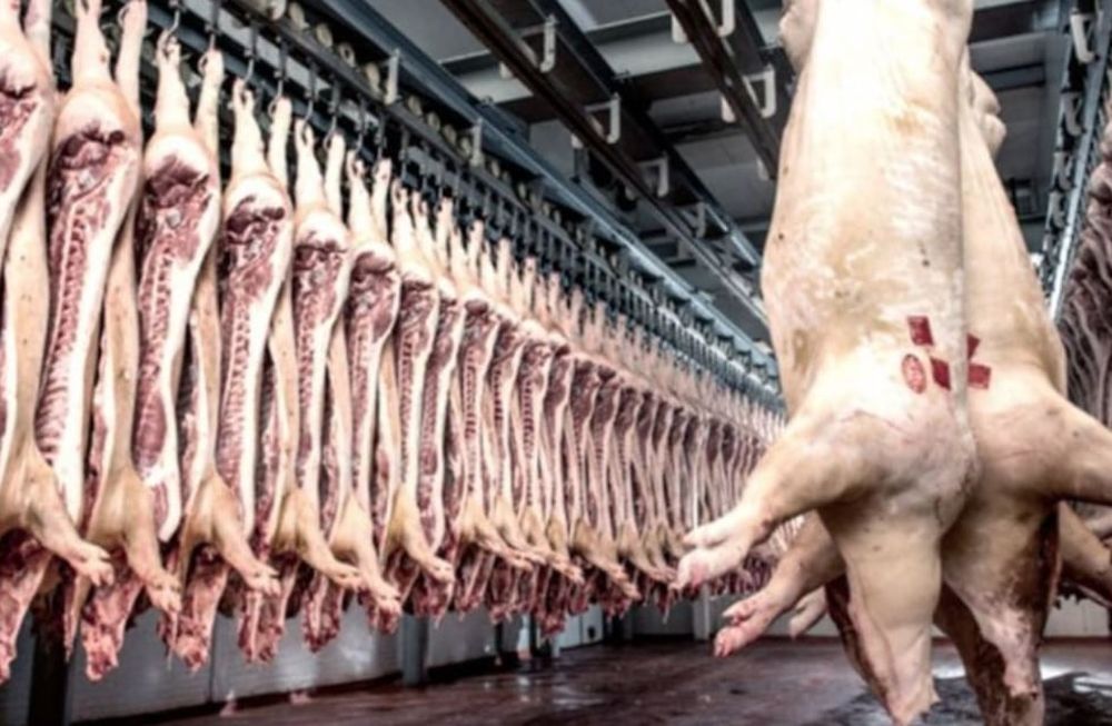 Presuntos casos de triquinosis: qué es y cómo se previene la enfermedad