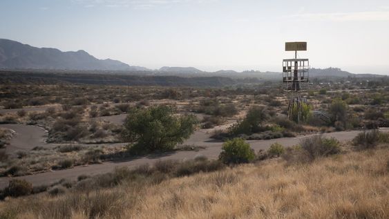 Con los años, la flora ha logrado doblegar el viejo asfalto y emerge sobre el trazado de la antigua pista de carreras, que fue inaugurada a mediados de los ‘70. Foto: Ignacio Blanco / Los Andes