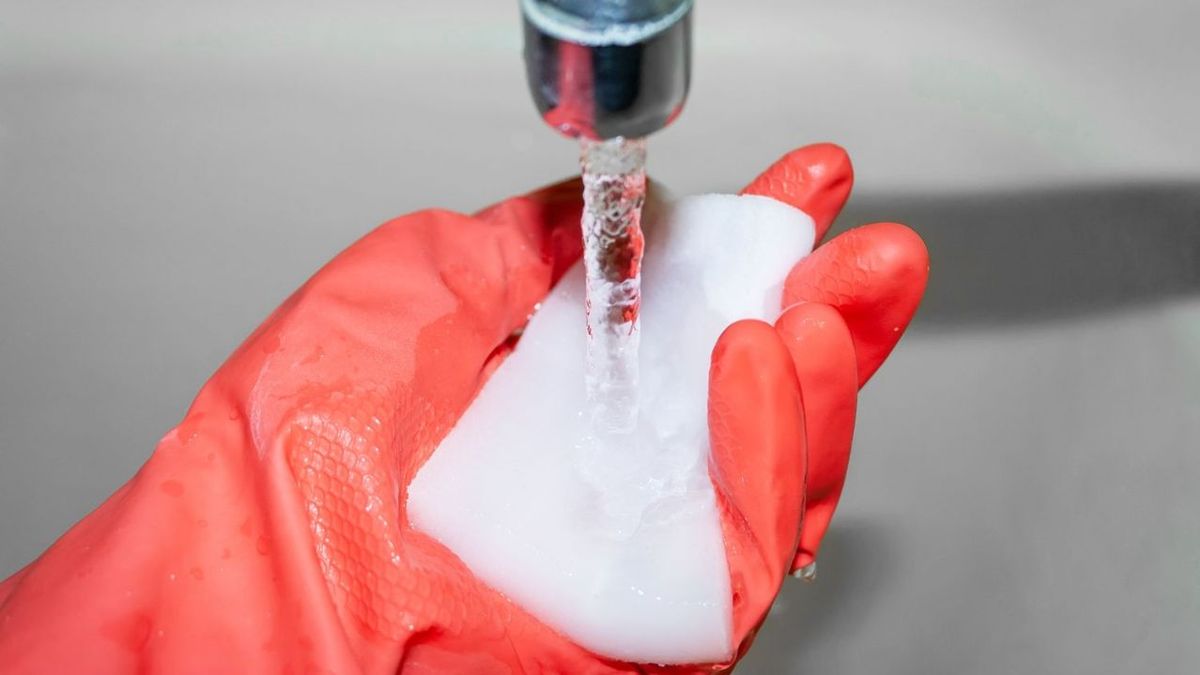 Por qué la esponja está dejando de utilizarse en la limpieza y cual es la alternativa más saludable