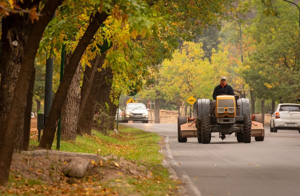 Parque General San Martín - Foto: Ignacio Blanco / Los Andes