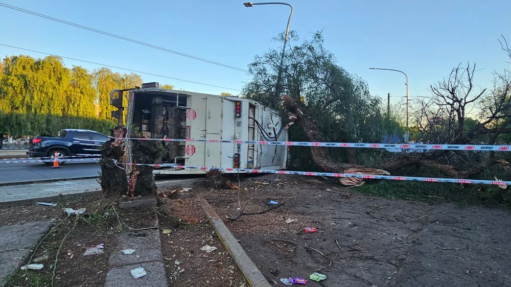 Un camión recolector chocó, volcó y derribó un árbol en la Costanera