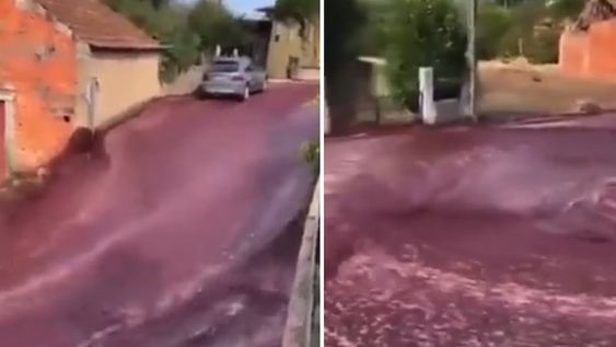 Un río de vino sorprendió a los vecinos de Anadia, Portugal. - Captura de video