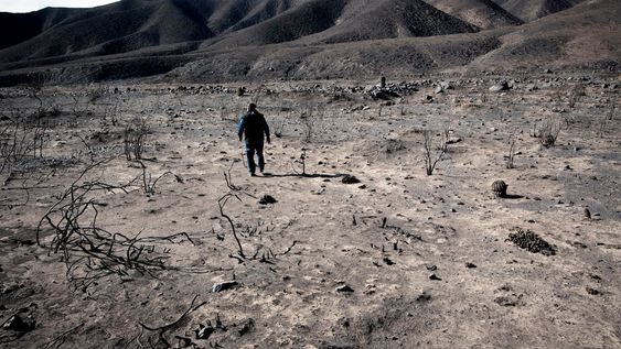 Este martes se celebra la 55ª edición del Día de la Tierra. La estrategia que aúna voluntades de millones de personas, una jornada para visibilizar la importancia del planeta y la conservación de sus ecosistemas en todos los continentes y océanos.
