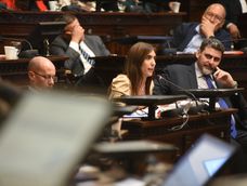Casi todos los senadores acompañaron el proyecto para crear un registro del cannabis.