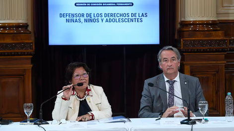 Vilma Bedia (senadora) y Nicolás Mayoraz (diputado), designados presidente y vice de la Comisión Bicameral del Defensor de los Derechos de Niños y Adolescentes. (archivo)