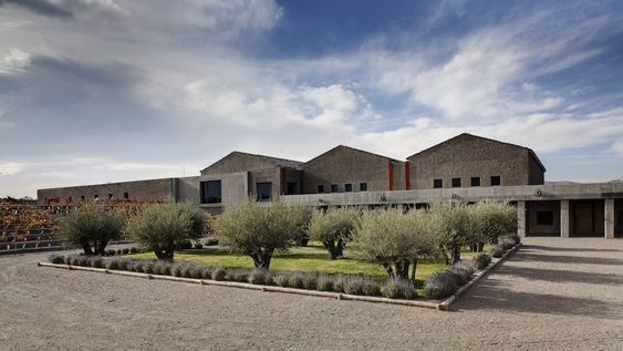 Bodega Atamisque