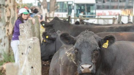Los Andes | Buscan que el gobierno no le de la espalda al campo y aproveche las oportunidades conseguidas por el presidente tras su viaje al exterior.