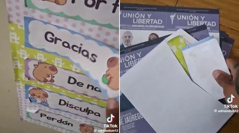 Se filmó en el cuarto oscuro rompiendo un cartel para votar por un capibara y generó repudio.