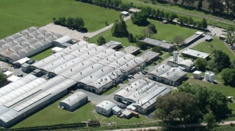 La empresa de pegamentos más conocida del país suspendió a más d eun centenar de trabajadores.