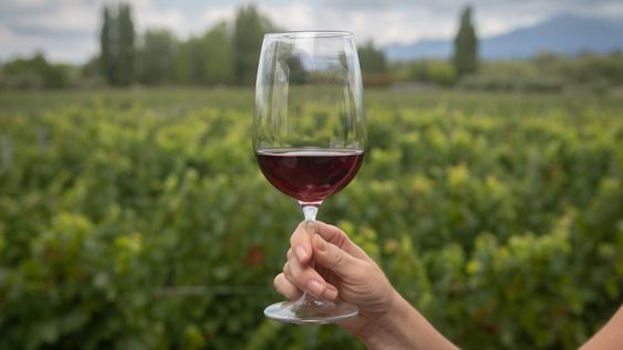 Mendoza, 6 de febrero de 2020 TurismoLa Mendoza Top. Entre Cielos Luxury Wine Hotel  degustando vino copa vino vinedos turismo Foto: Ignacio Blanco / Los Andes