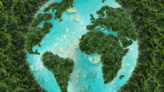 La “salud” planetaria (y humana),  ¿quo vadis?
