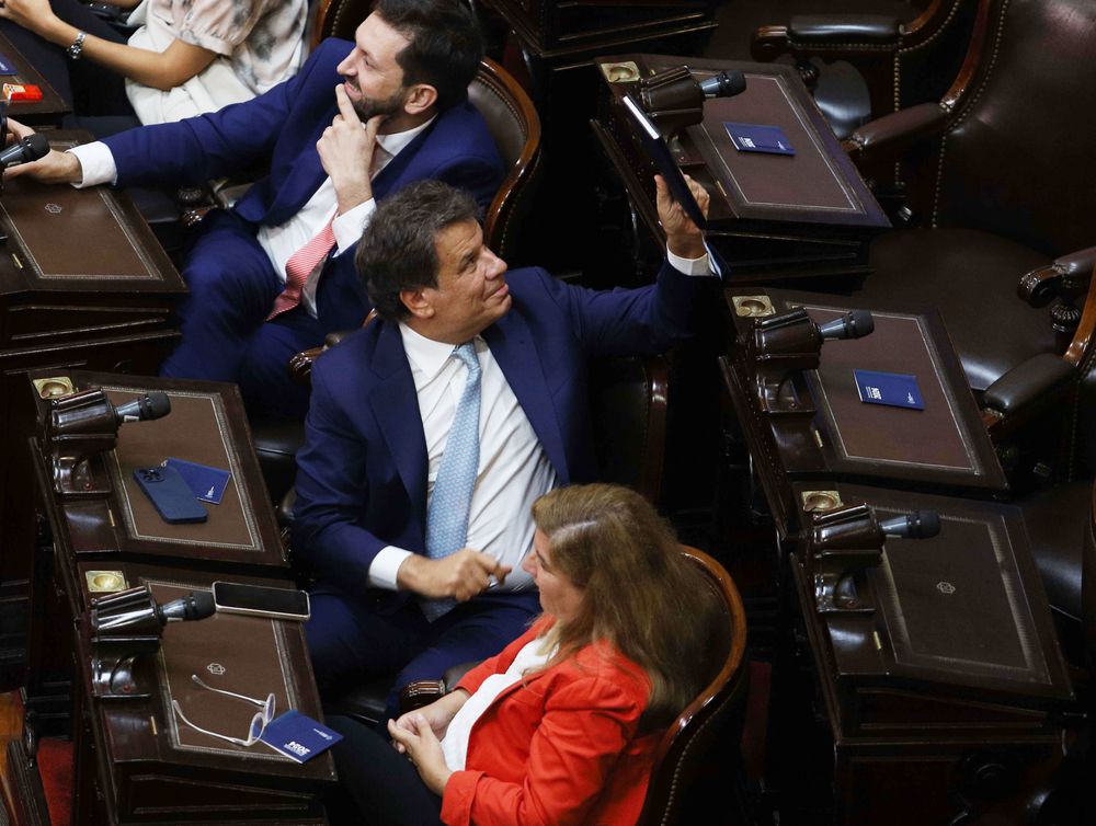 El diputado Facundo Manes.