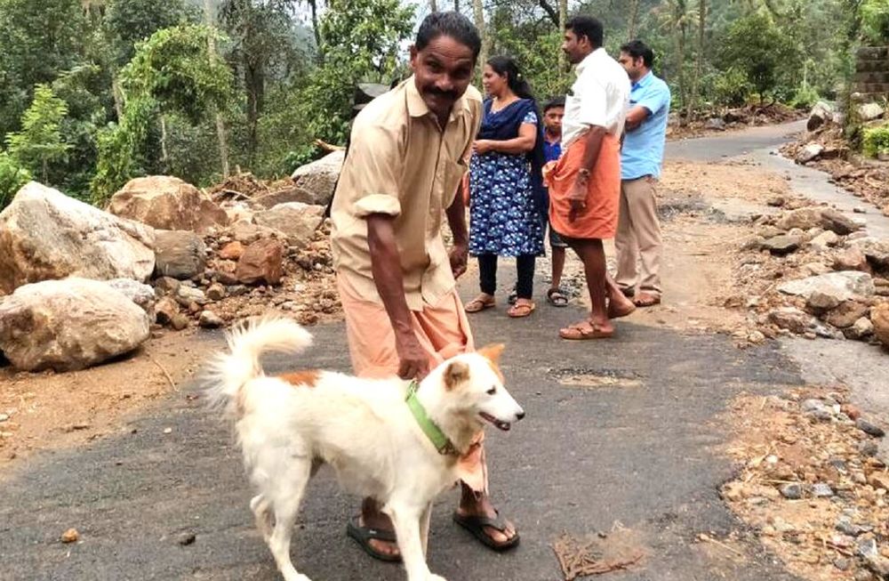 Un perro salvó a una familia de morir sepultada por alud de tierra en la India