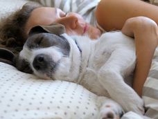 ¿Es bueno dormir con tu perro en la cama durante el invierno? Riesgos y recomendaciones de los expertos