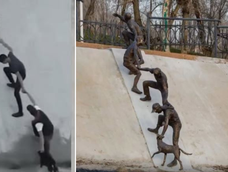Homenaje en Kazajistán a un grupo de hombres que salvó a un perro