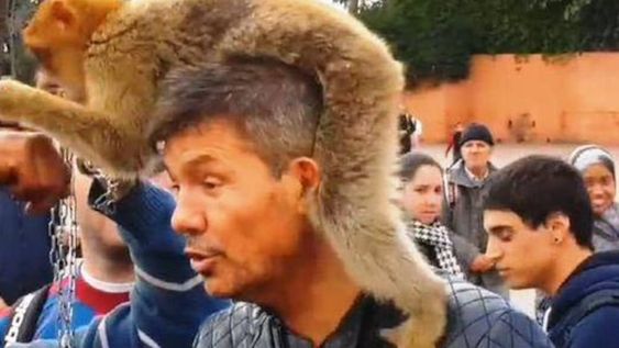 Video: Tinelli posó con un mono en su cabeza en una plaza de Marrakech