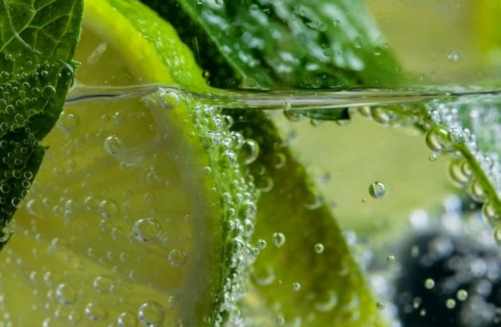 Limonadas: un chapuzón cítrico