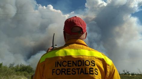 Incendios forestales en Mendoza.