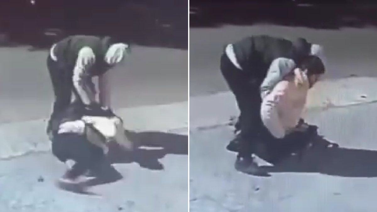 Violento asalto a un niño de 12 años en La Plata: lo golpearon, le robaron y todo quedó registrado en cámaras