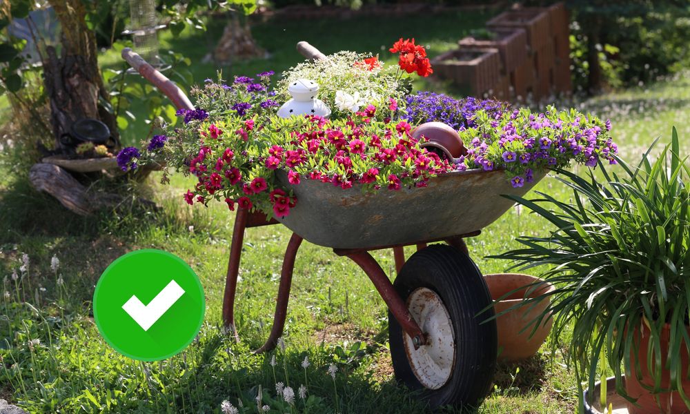 Trucos para tener un jardín soñado