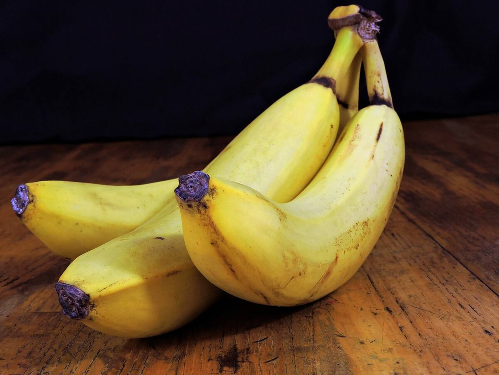 Fertilizante casero transforma tus jard&iacute;n, jardiner&iacute;a y plantas usando un simple residuo.